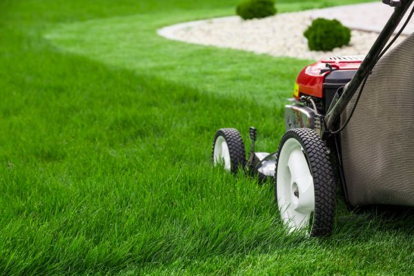 Cost of Grass Cutting Service in Tacoma