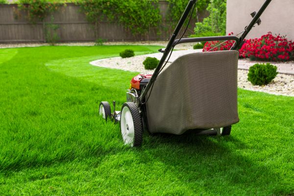 Cost of Home Yard Maintenance in Tacoma