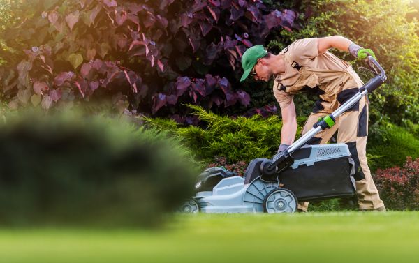 Cost of Lawn Care And Maintenance in Tacoma