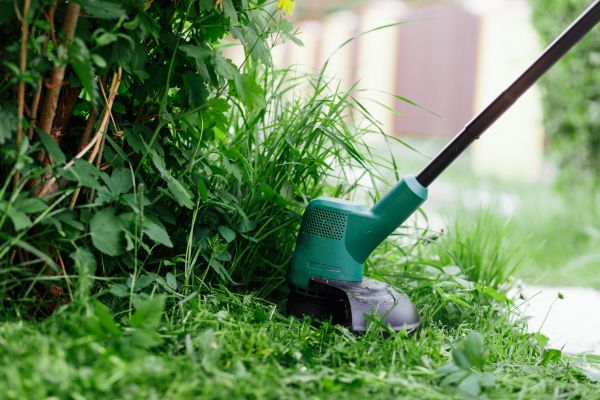 Cost of Weed Whacking in Tacoma