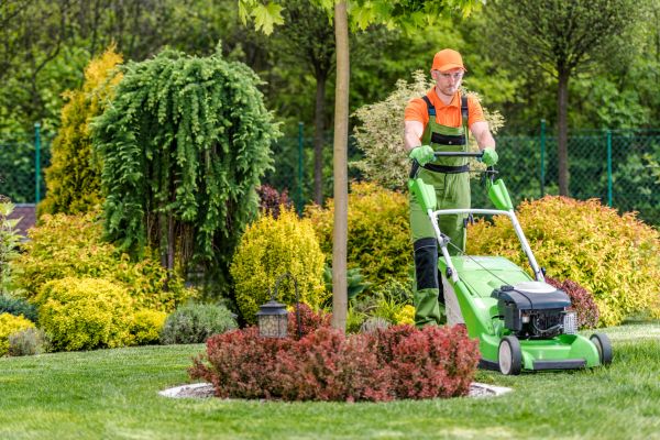 Yard Service in Tacoma