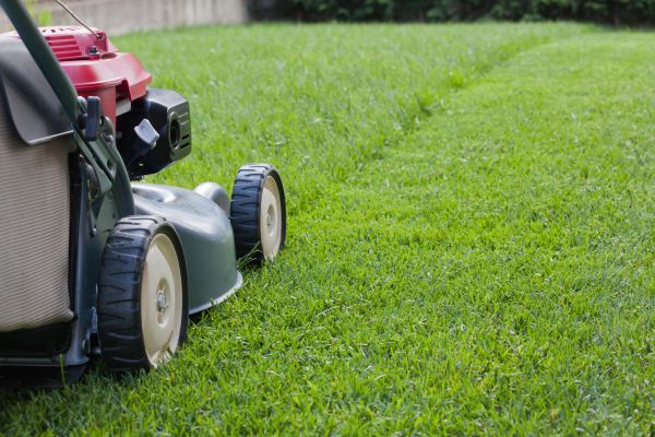 Residential Lawn Care in Tacoma