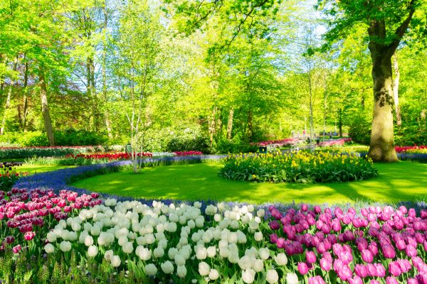 Cost of Spring Lawn Care in Tacoma