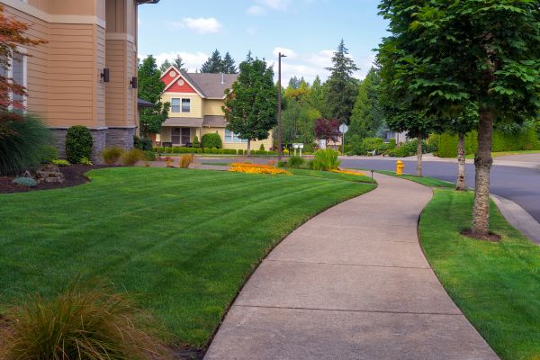 Home Lawn Maintenance in Tacoma