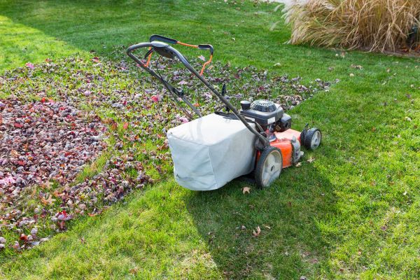 Seasonal Lawn Care in Tacoma