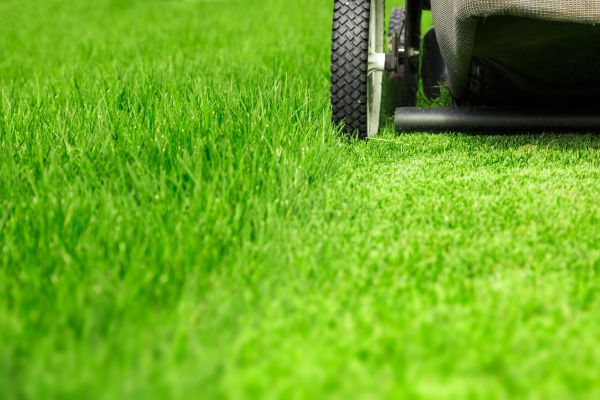 Weekly Lawn Care in Tacoma