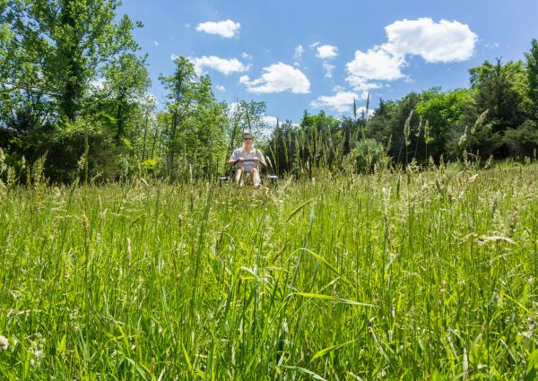Cost of Long Grass Mowing in Tacoma