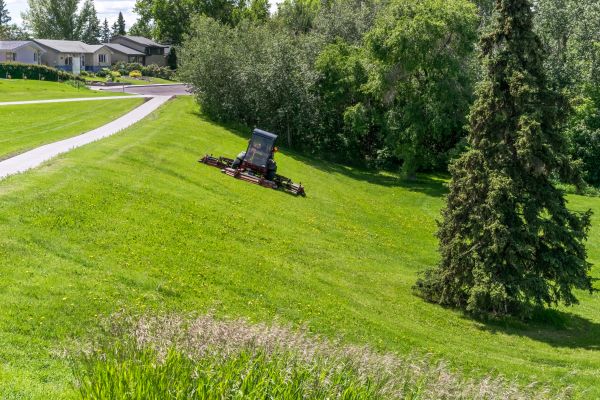 Hill Mowing in Tacoma