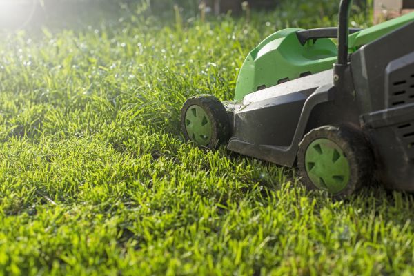 Cost of Residential Lawn Maintenance in Tacoma