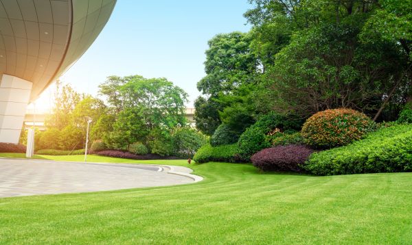 Cost of Business Groundskeeping in Tacoma