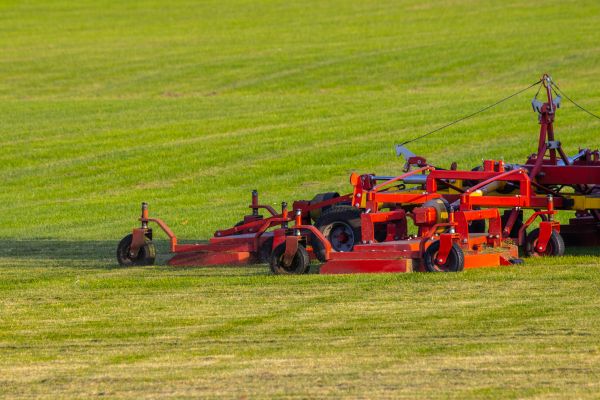 Cost of Industrial Lawn Service in Tacoma