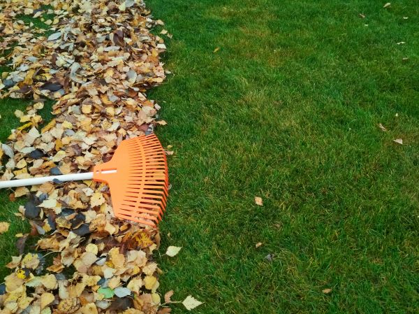 Fall Lawn Care in Tacoma