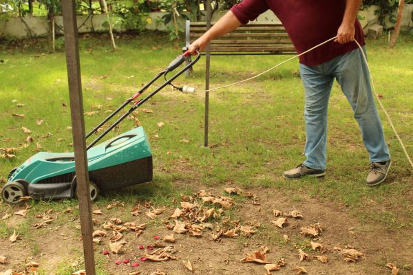 Cost of Leaves Mowing in Tacoma