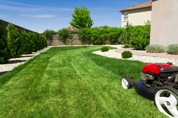Cost of Residential Lawn Mowing in Tacoma