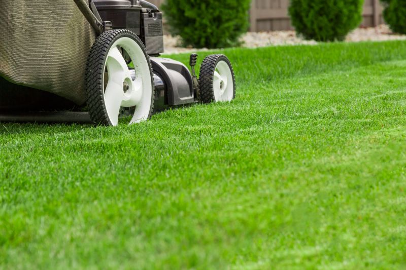 Weekly Lawn Care detail