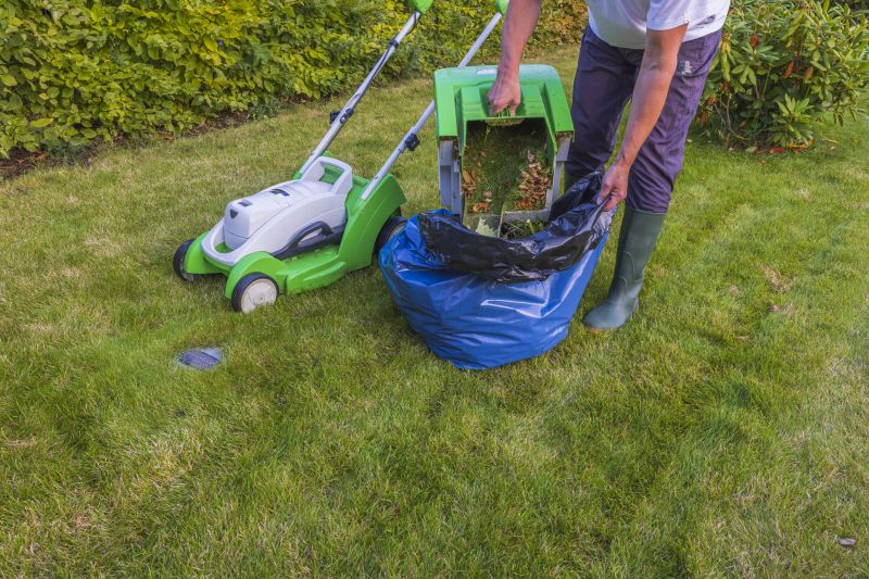 Routine Lawn Care